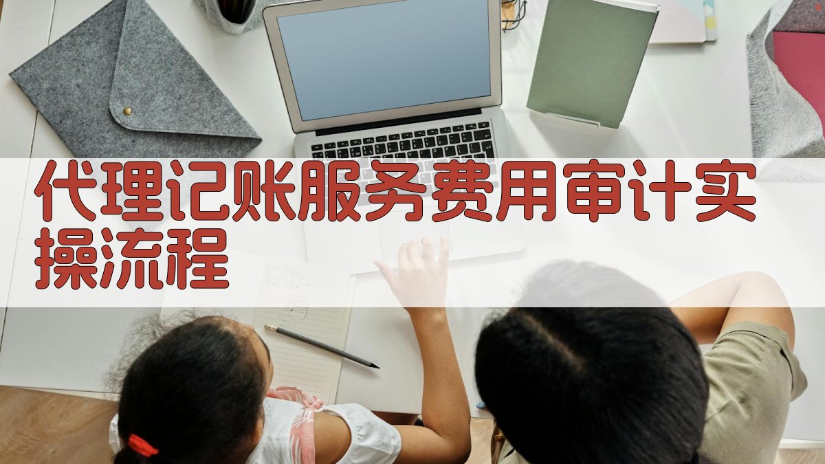 代理记账服务费用审计实操流程 图3