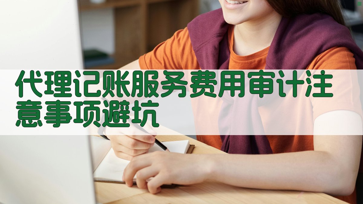 代理记账服务费用审计注意事项/避坑 图4