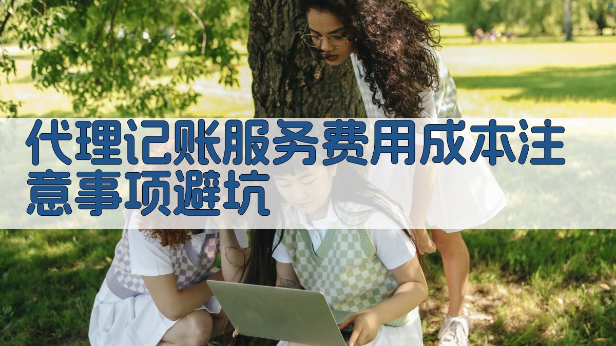 代理记账服务费用成本注意事项/避坑 图1