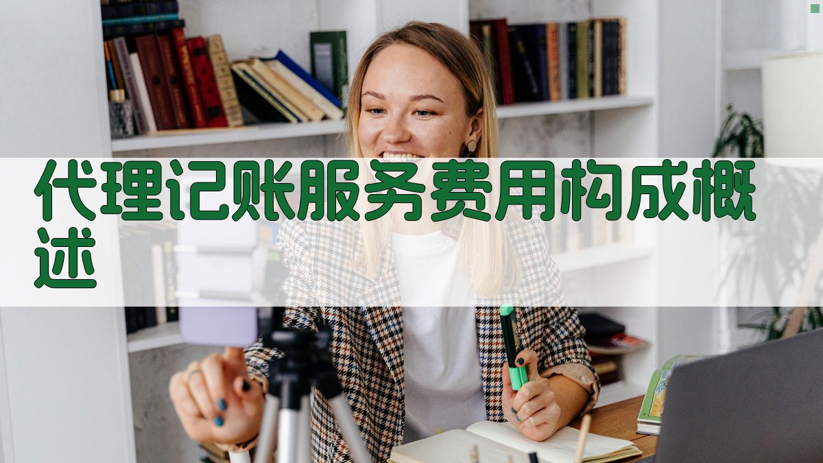 代理记账服务费用构成概述 图1