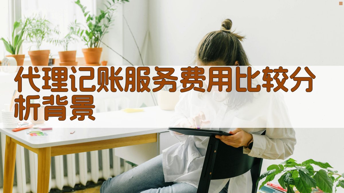 代理记账服务费用比较分析背景 图1