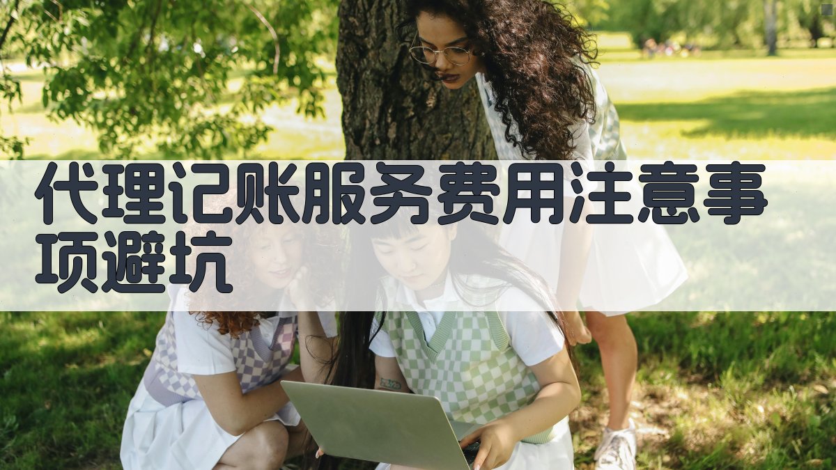 代理记账服务费用注意事项/避坑 图2