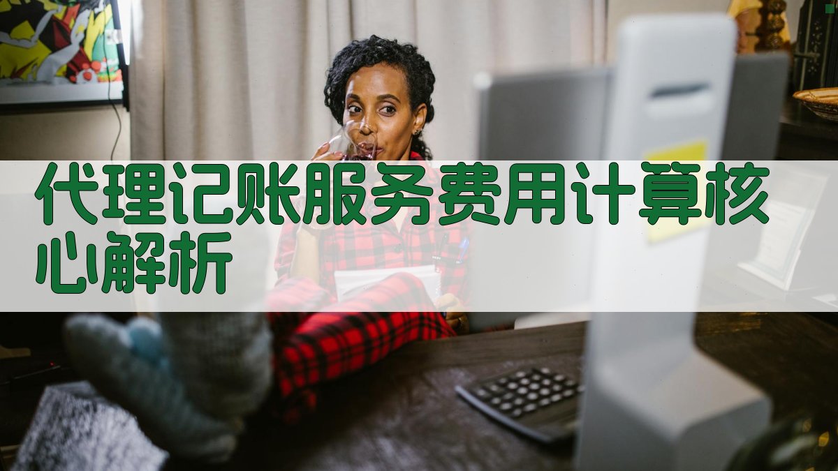 代理记账服务费用计算核心解析 图2