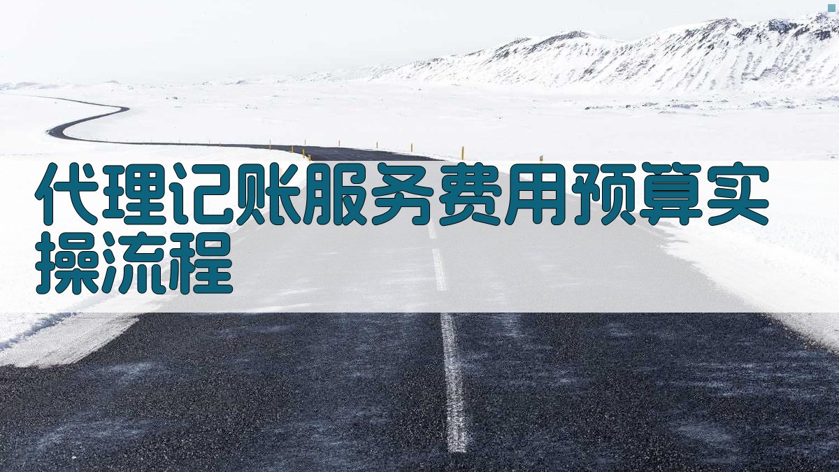 代理记账服务费用预算实操流程 图2