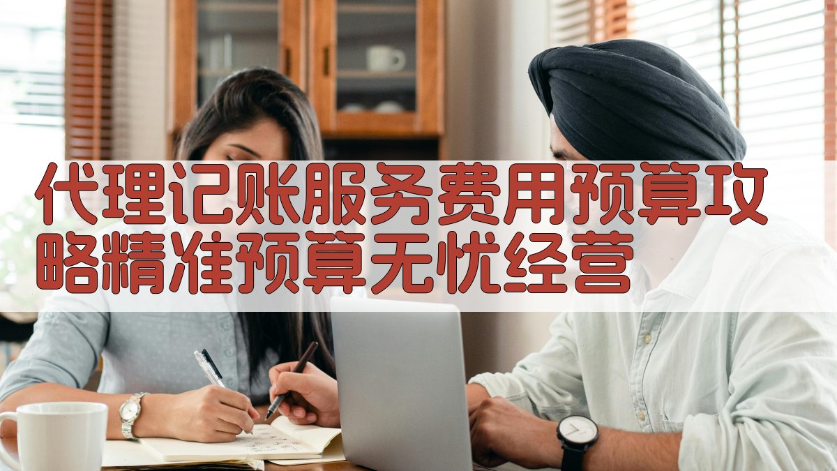 代理记账服务费用预算攻略：精准预算，无忧经营 图2