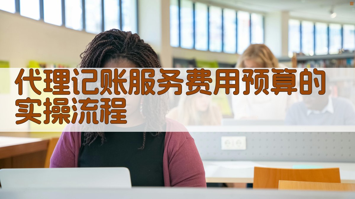 代理记账服务费用预算的实操流程 图1