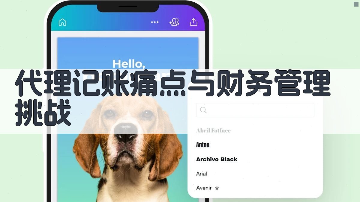 代理记账痛点与财务管理挑战 图1