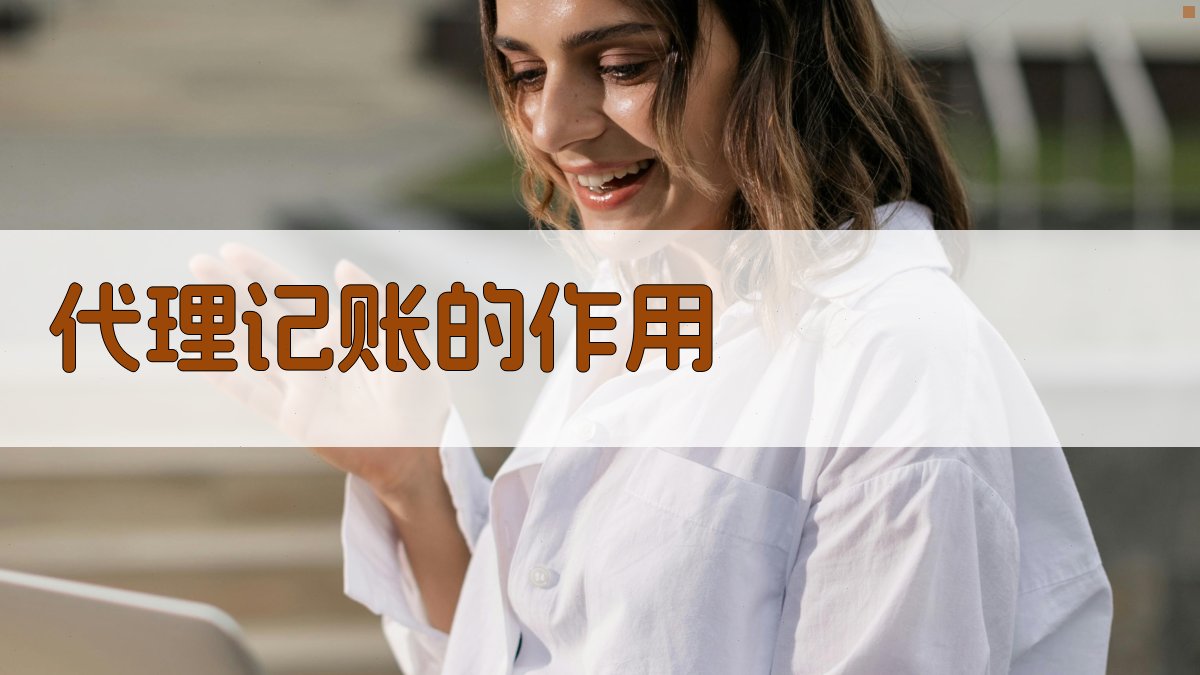 代理记账的作用 图2