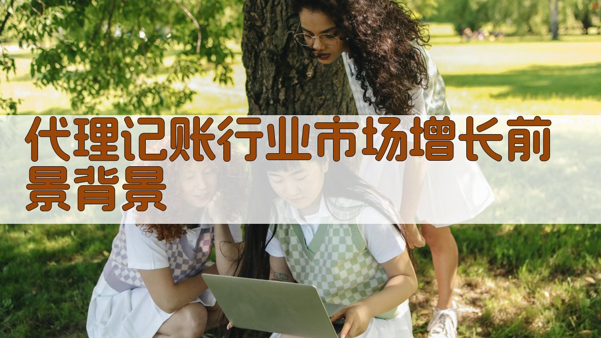 代理记账行业市场增长前景背景 图1