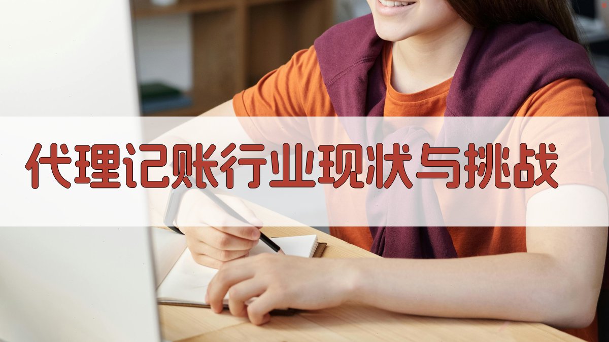代理记账行业现状与挑战 图1