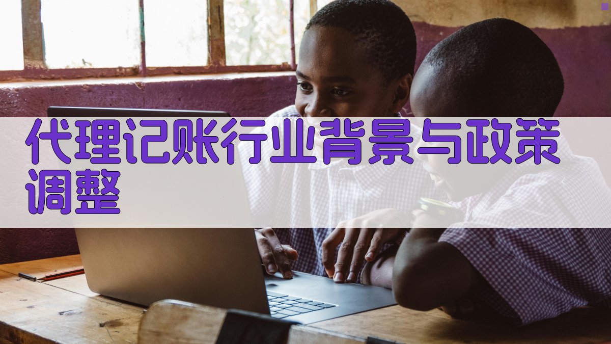 代理记账行业背景与政策调整 图1