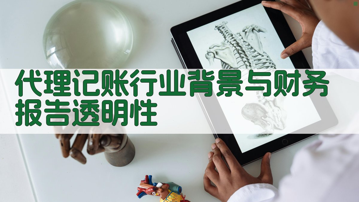 代理记账行业背景与财务报告透明性 图1