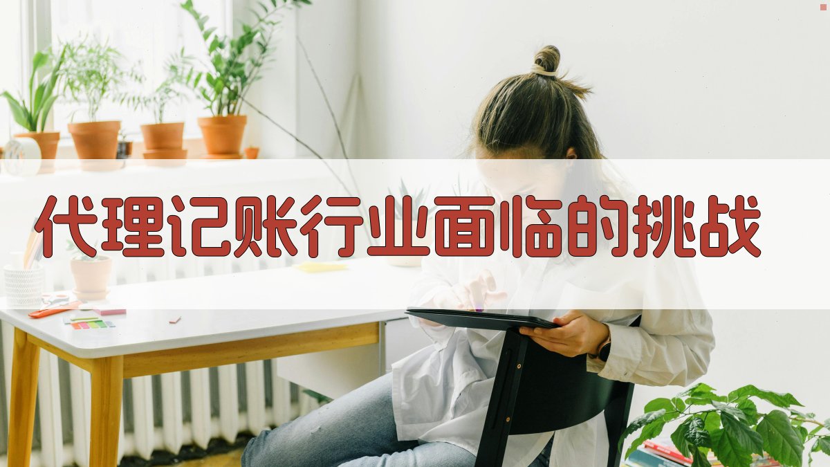 代理记账行业面临的挑战 图1