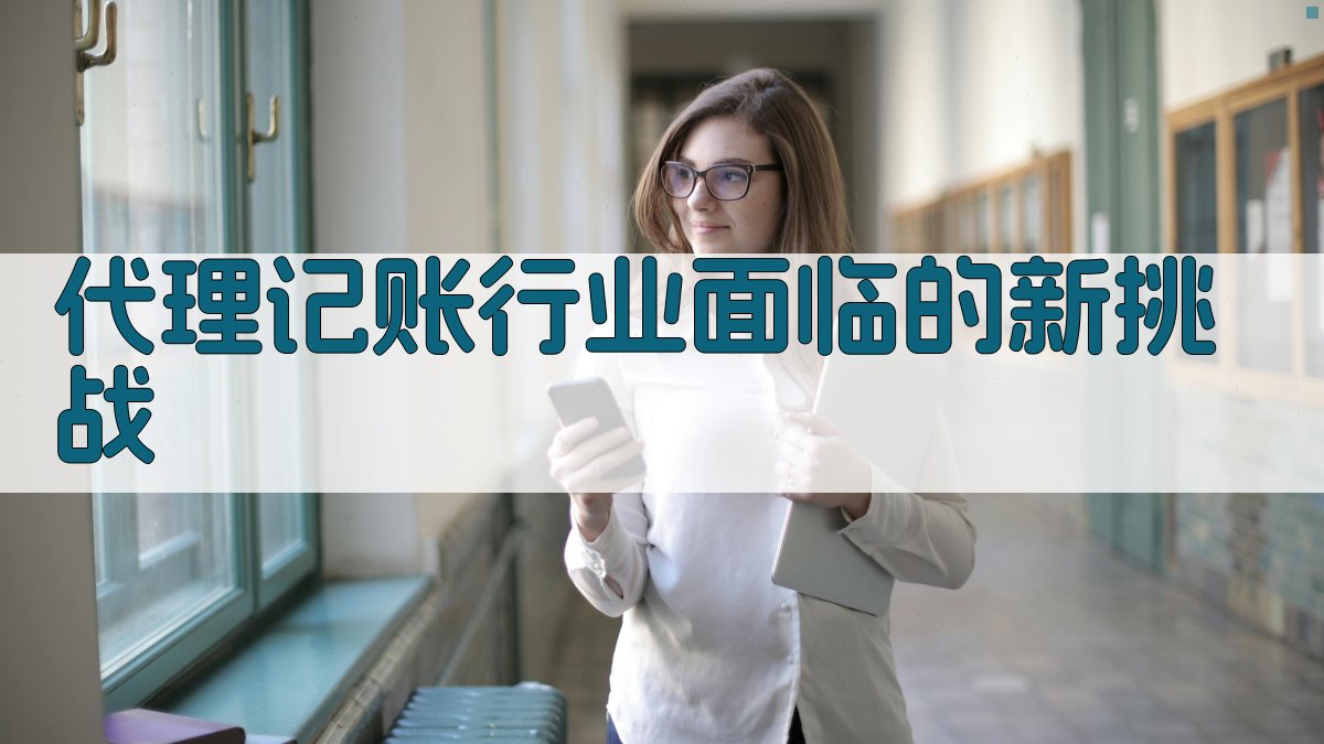 代理记账行业面临的新挑战 图1