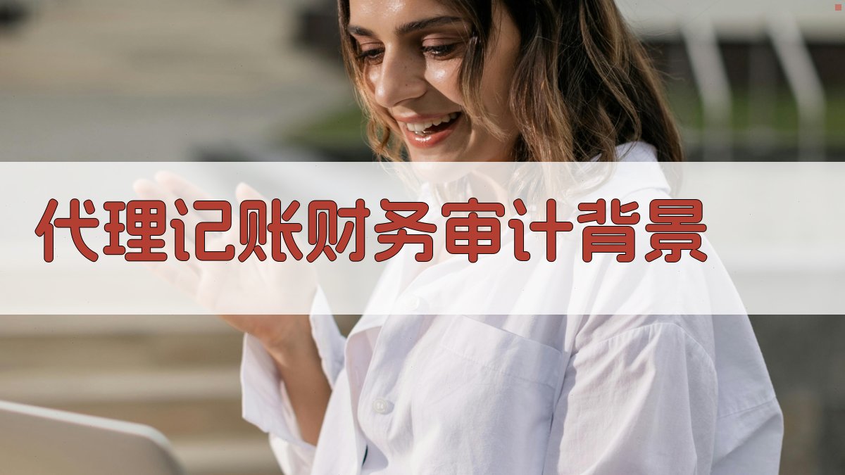代理记账财务审计背景 图1