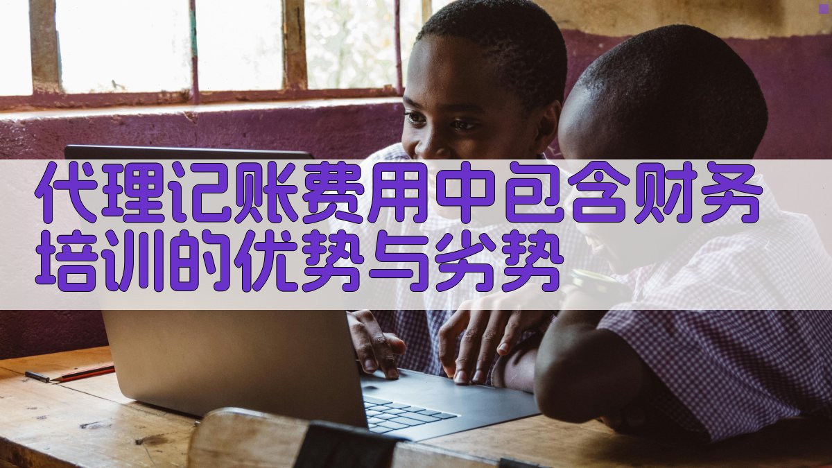 代理记账费用中包含财务培训的优势与劣势 图1