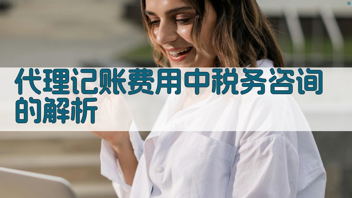 代理记账费用中税务咨询的解析 图2