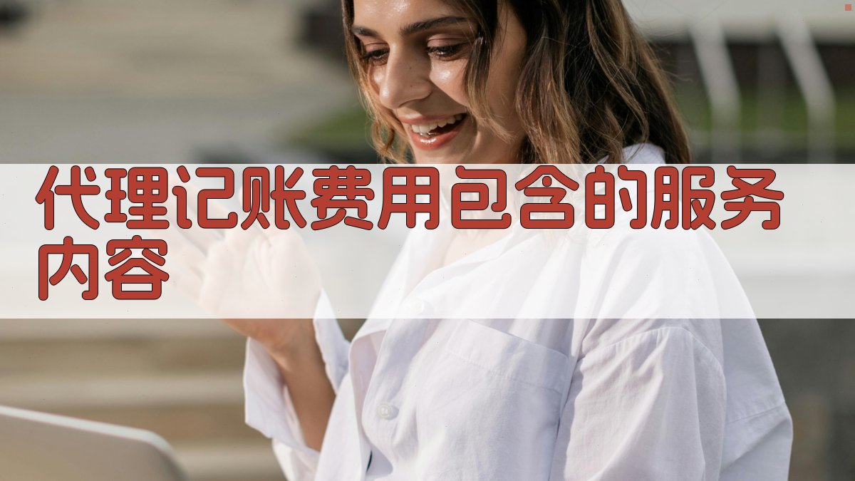 代理记账费用包含的服务内容 图1