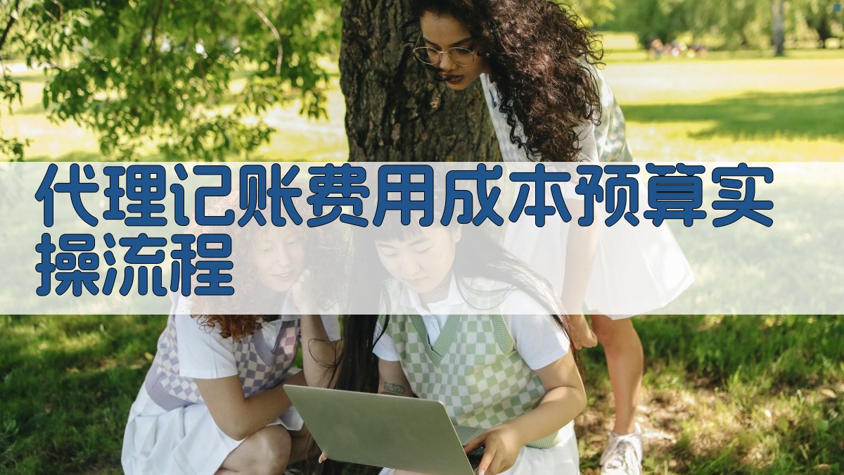代理记账费用成本预算实操流程 图3