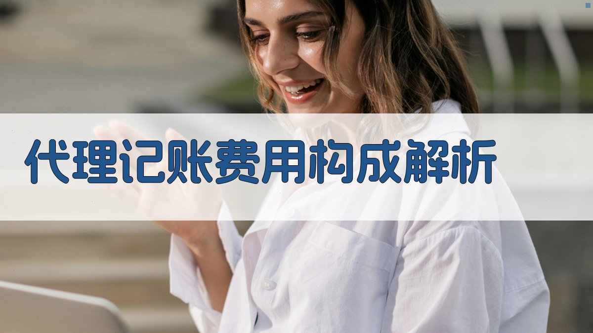 代理记账费用构成解析 图2