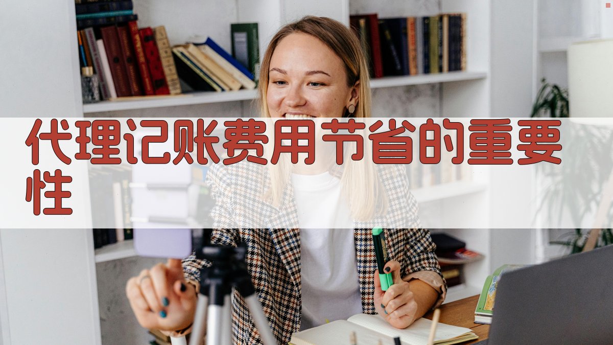 代理记账费用节省的重要性 图1