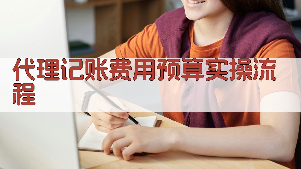 代理记账费用预算实操流程 图3