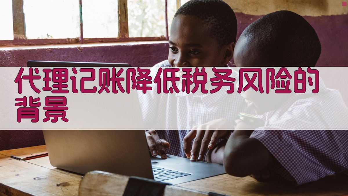 代理记账降低税务风险的背景 图1
