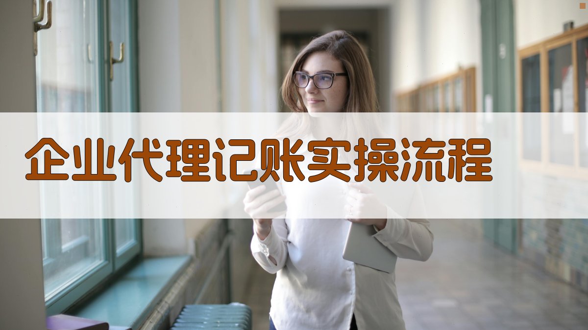 企业代理记账实操流程 图3