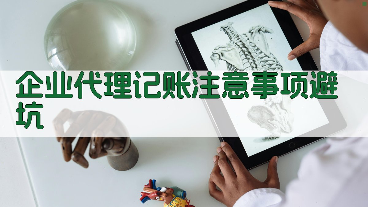 企业代理记账注意事项/避坑 图4