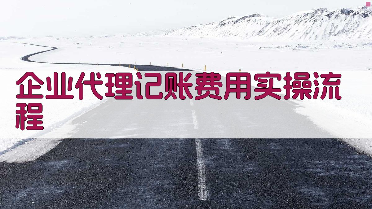 企业代理记账费用实操流程 图2