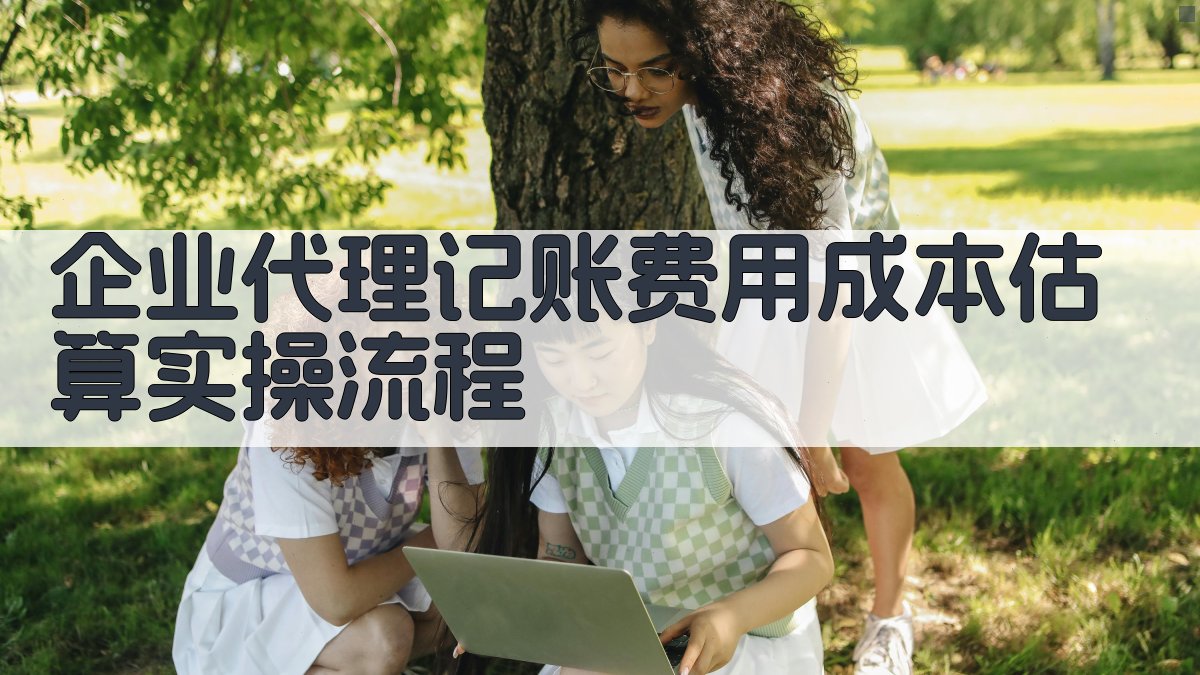 企业代理记账费用成本估算实操流程 图3