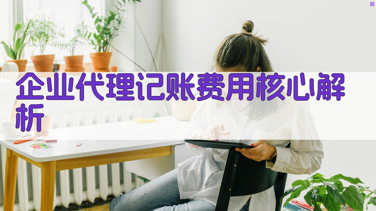 企业代理记账费用核心解析 图1