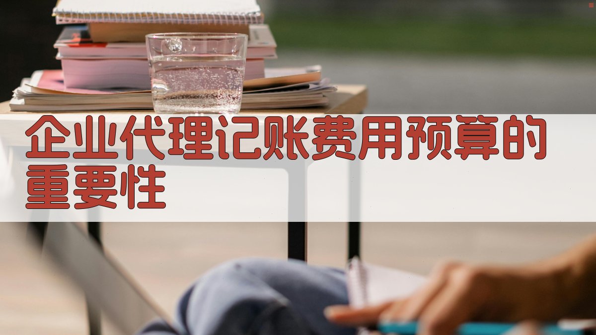 企业代理记账费用预算的重要性 图1