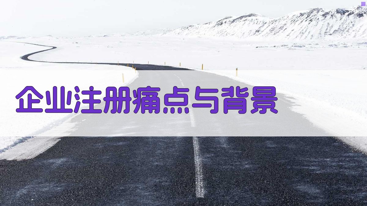 企业注册痛点与背景 图1