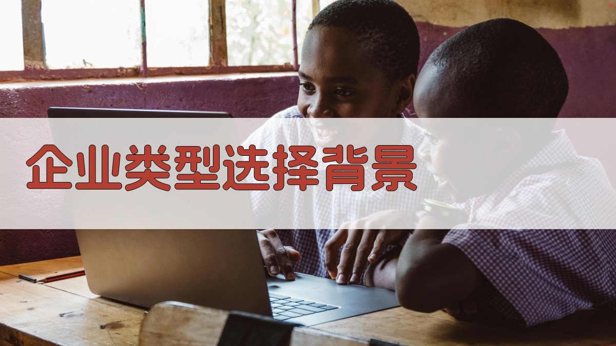 (企业类型选择背景) 图1