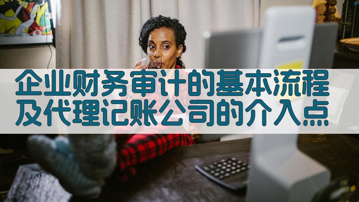 企业财务审计的基本流程及代理记账公司的介入点 图1