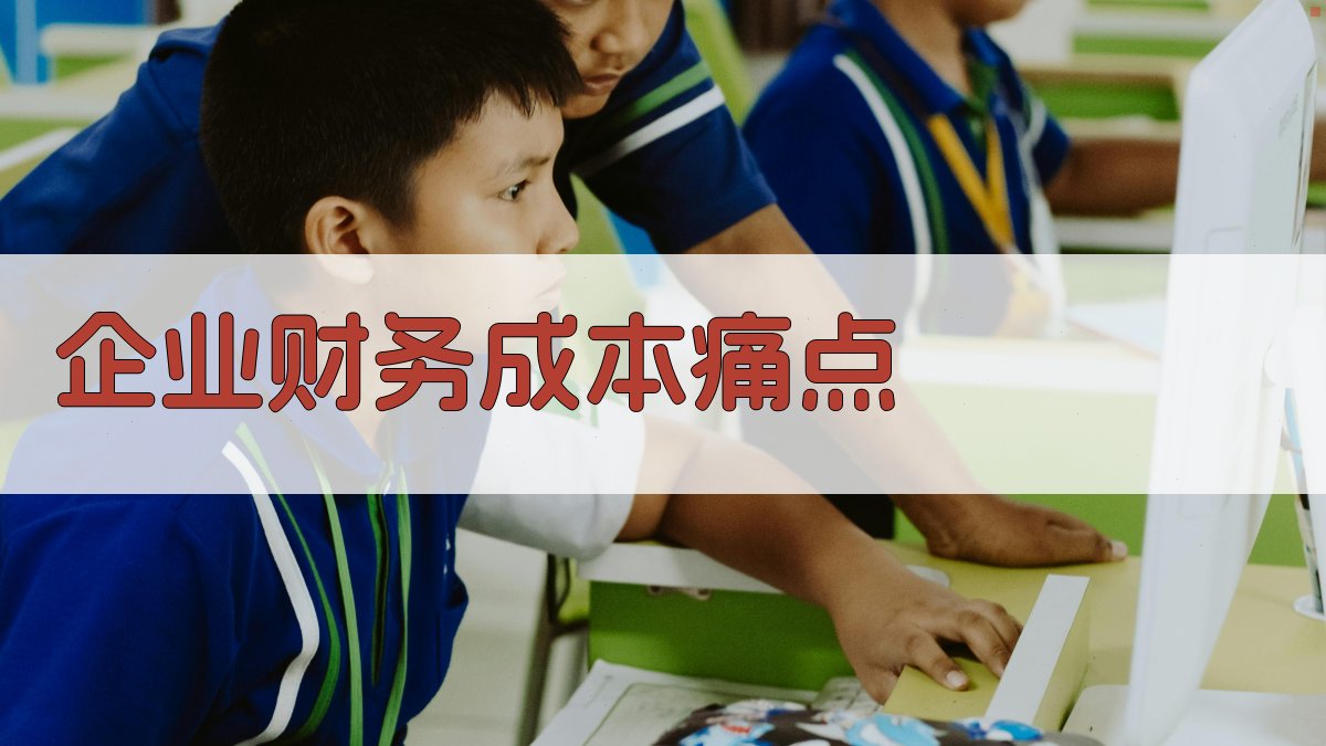 企业财务成本痛点 图1