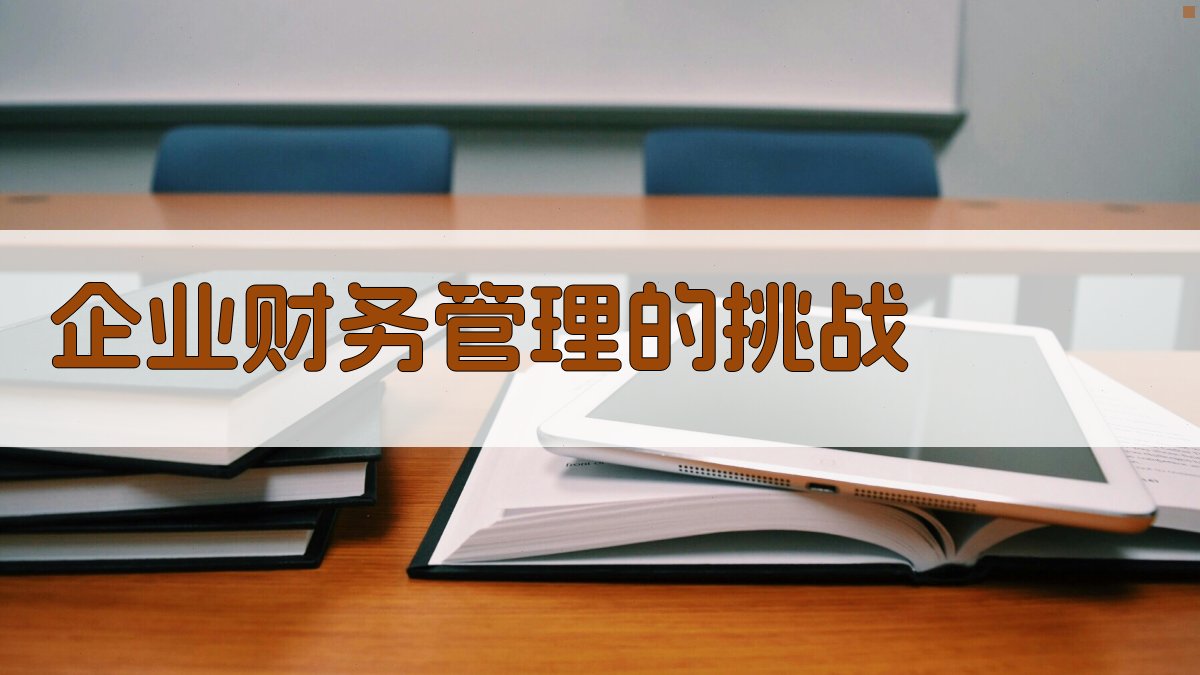 企业财务管理的挑战 图1