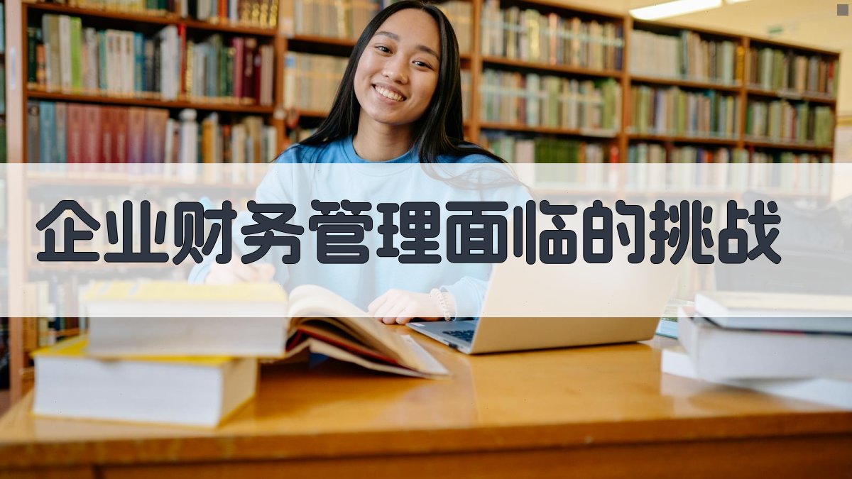 企业财务管理面临的挑战 图1