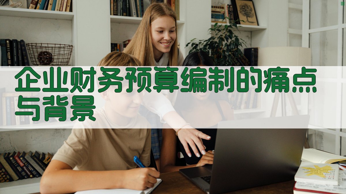 企业财务预算编制的痛点与背景 图1