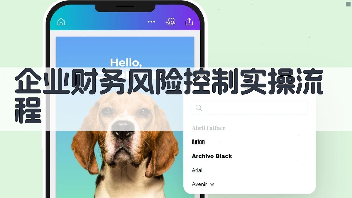(企业财务风险控制实操流程) 图3