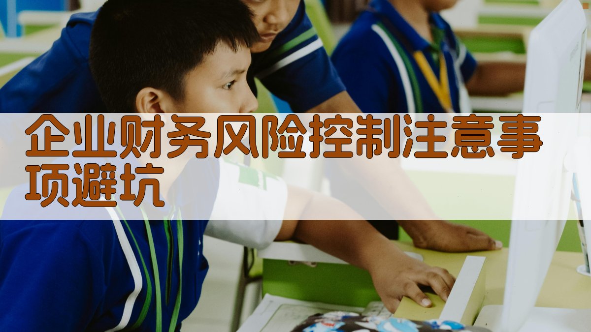 (企业财务风险控制注意事项/避坑) 图4