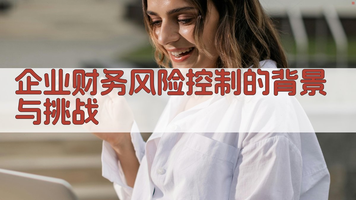 企业财务风险控制的背景与挑战 图1