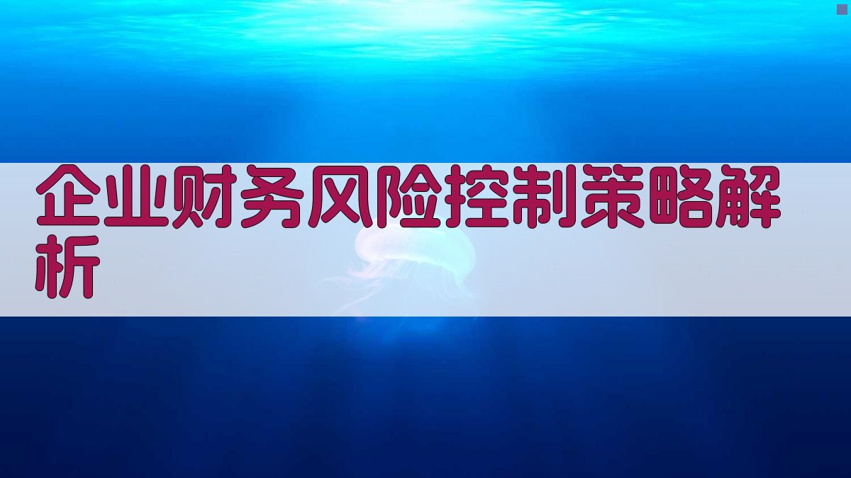 (企业财务风险控制策略解析) 图2