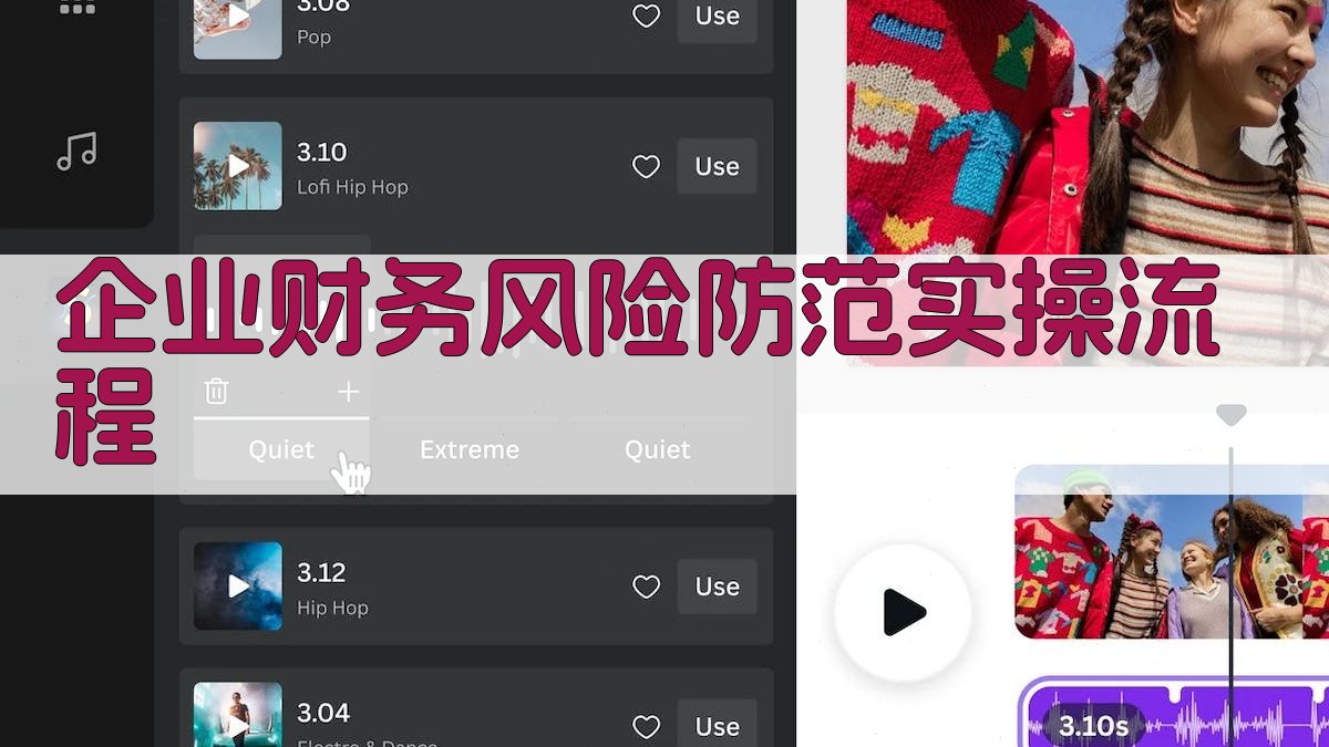企业财务风险防范实操流程 图2
