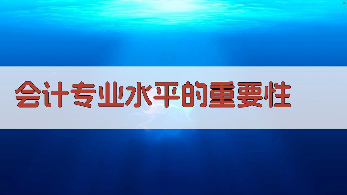 会计专业水平的重要性 图1
