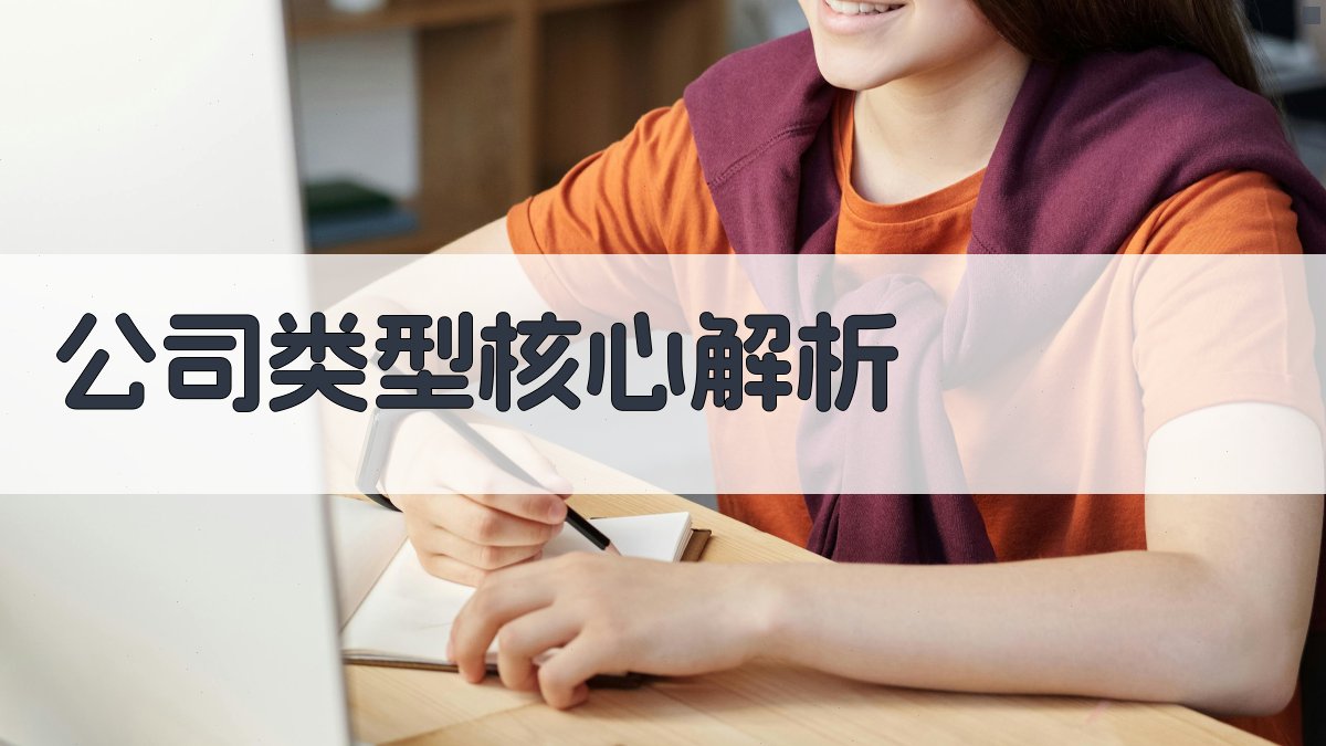 (公司类型核心解析) 图2