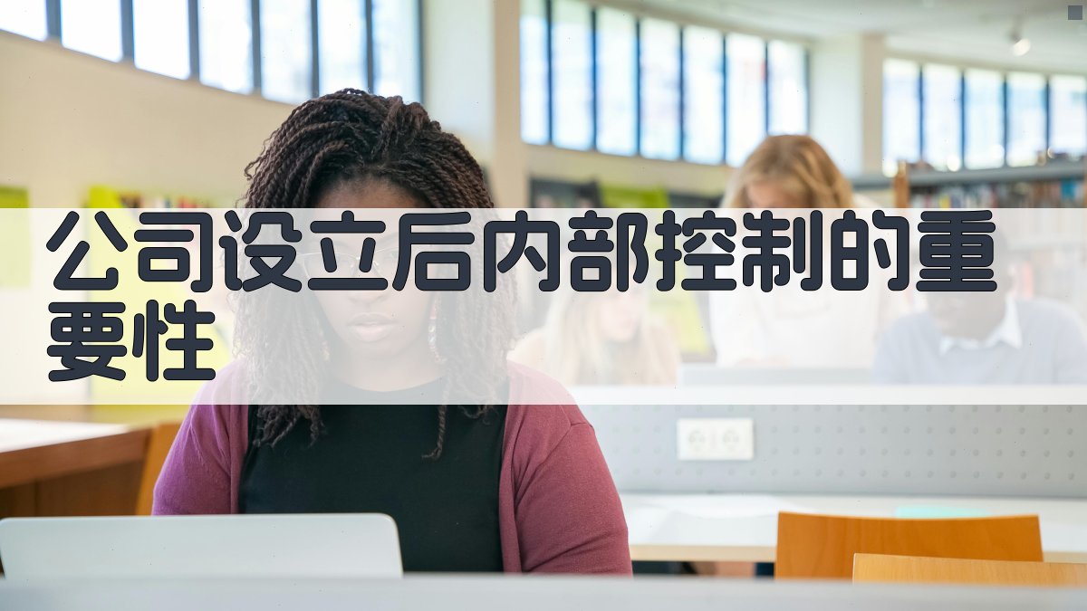 公司设立后内部控制的重要性 图1