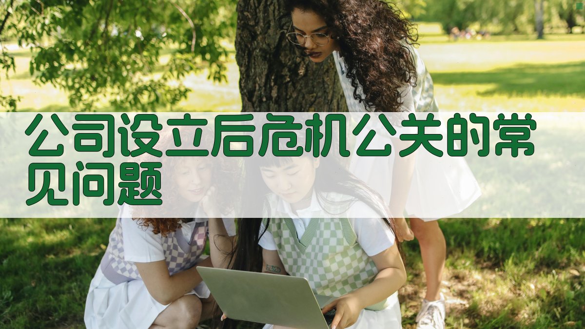 公司设立后危机公关的常见问题 图1