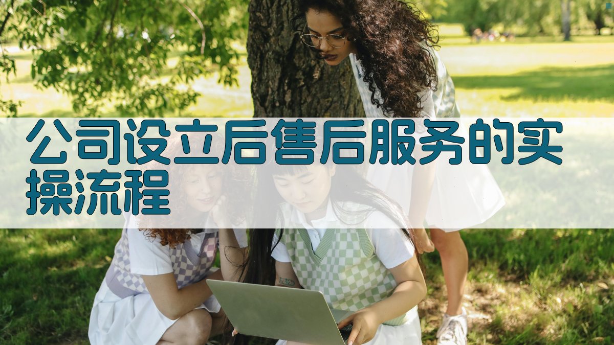 公司设立后售后服务的实操流程 图2